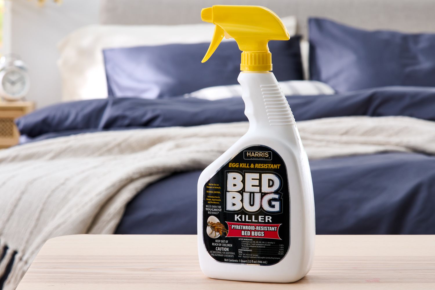 bed bug magic